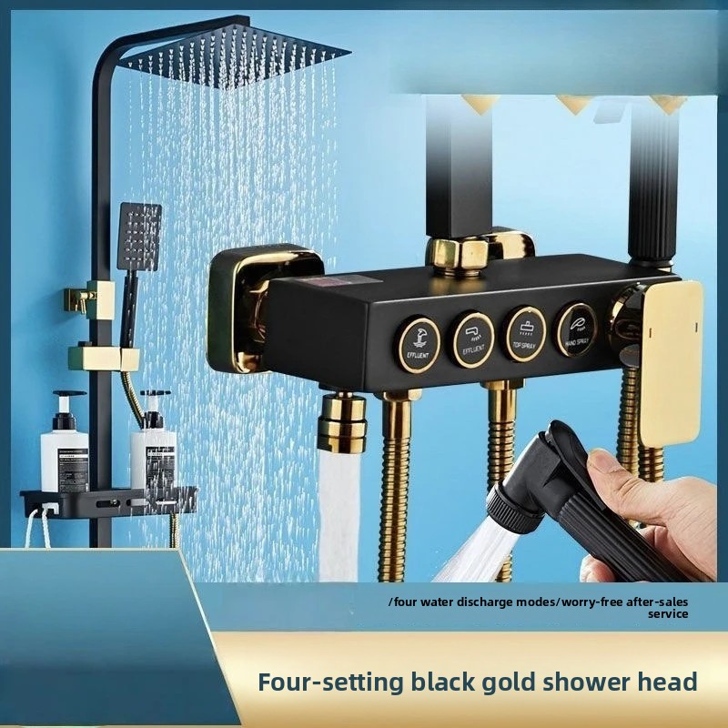 Black Gold Stainless Steel Sho - огляд і ціна Plumbing